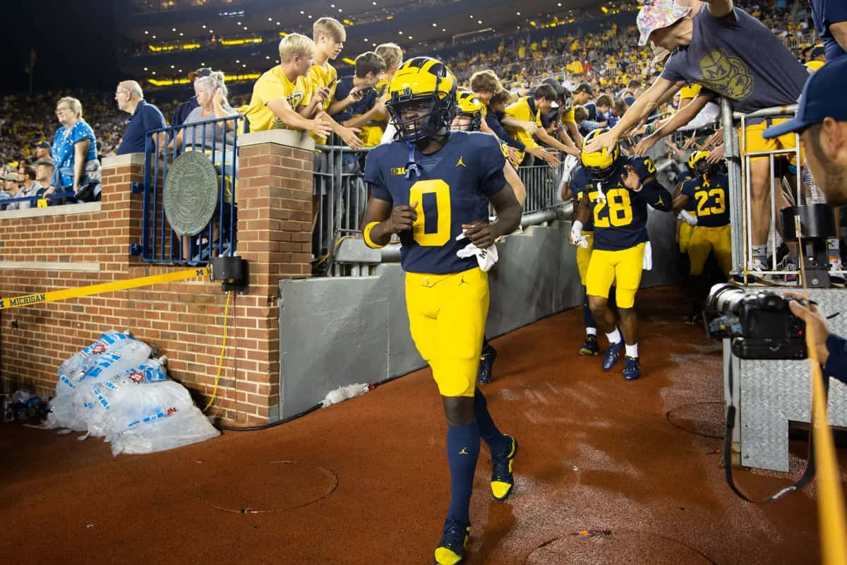 Football Player Entering Stadium Wallpaper