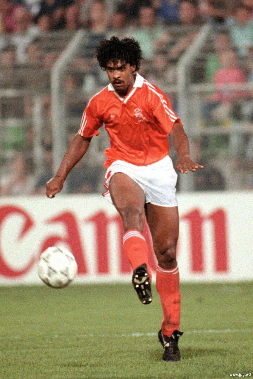 Football Star Athlete Frank Rijkaard Wallpaper