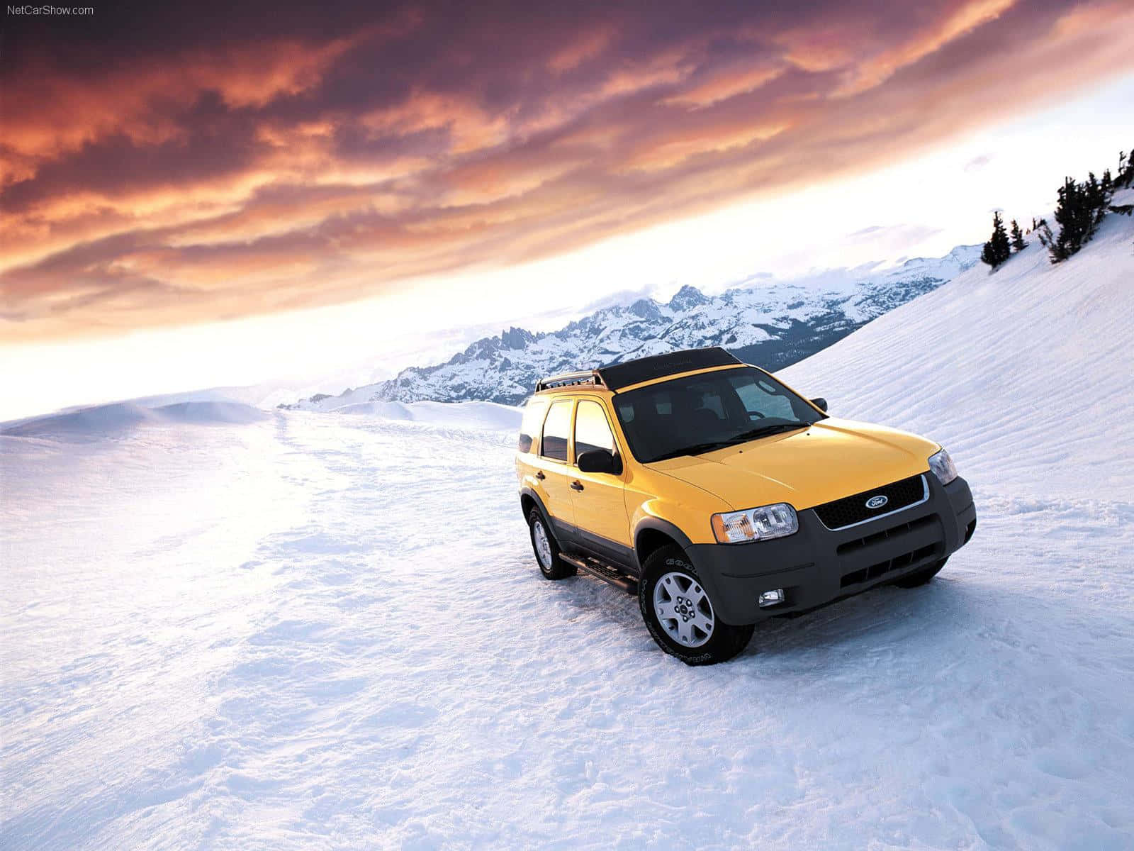 Ford Escape - The Perfect Suv For Adventure Seekers Wallpaper