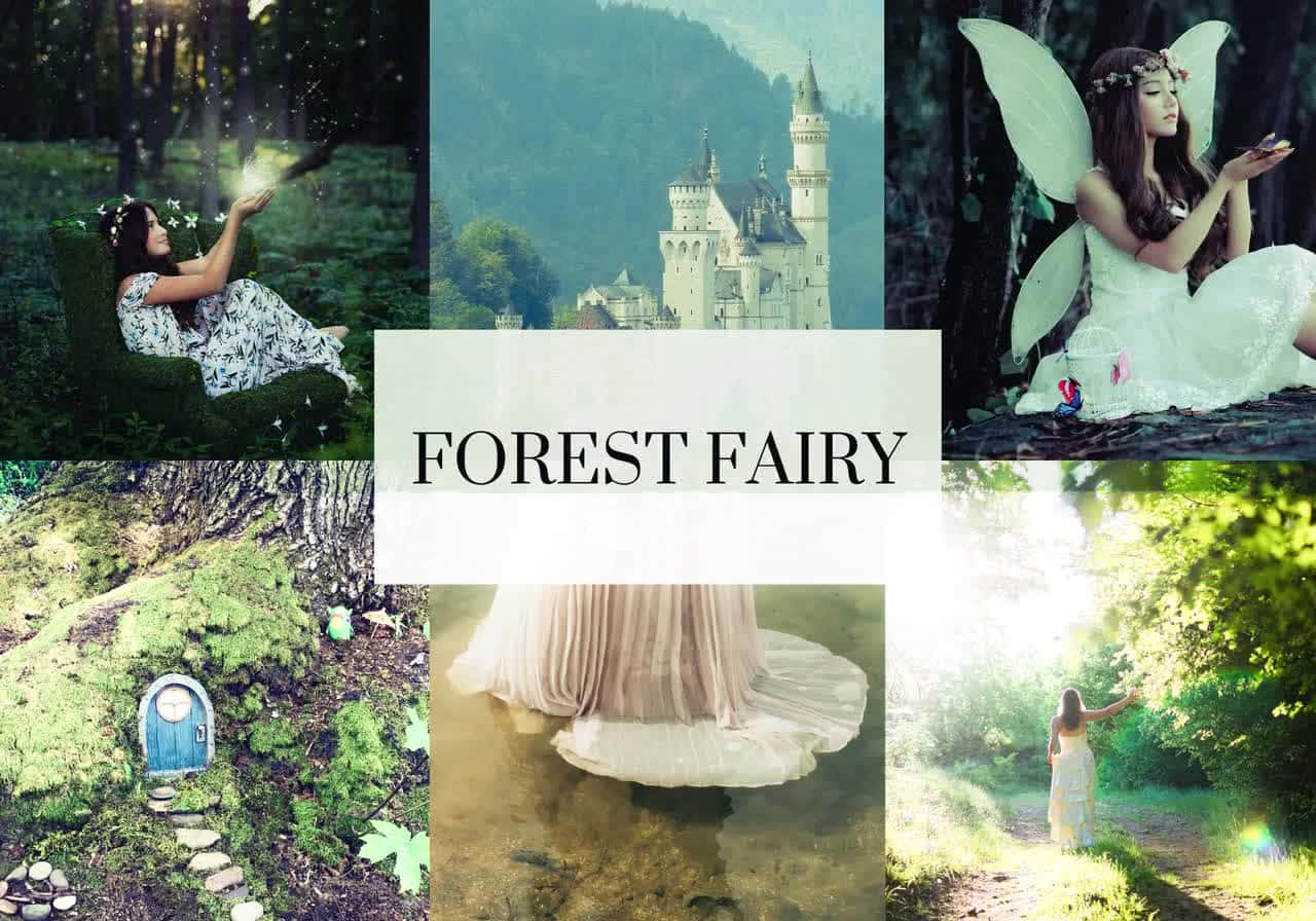 Forest Fairy Collage Wallpaper