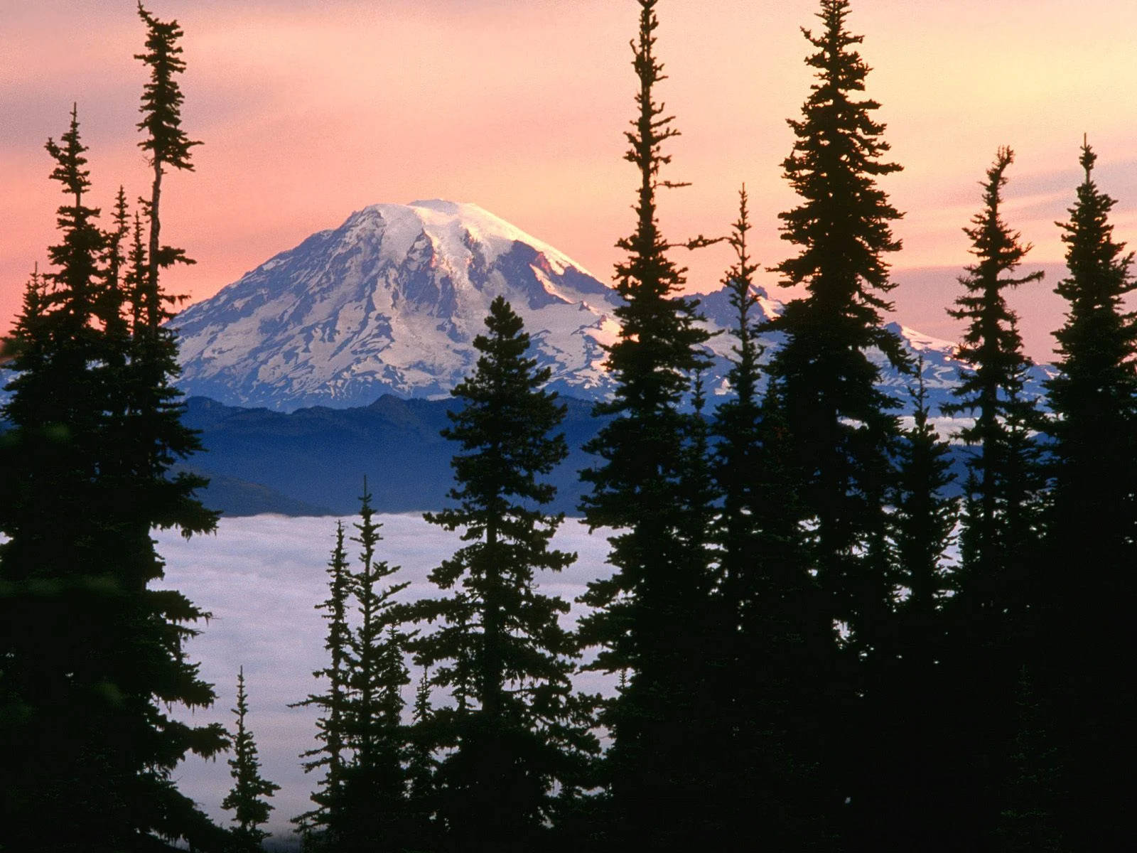 Forks Washington Mount Adams Wallpaper