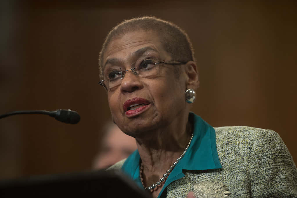 Formal Attire Of Eleanor Holmes Norton Wallpaper