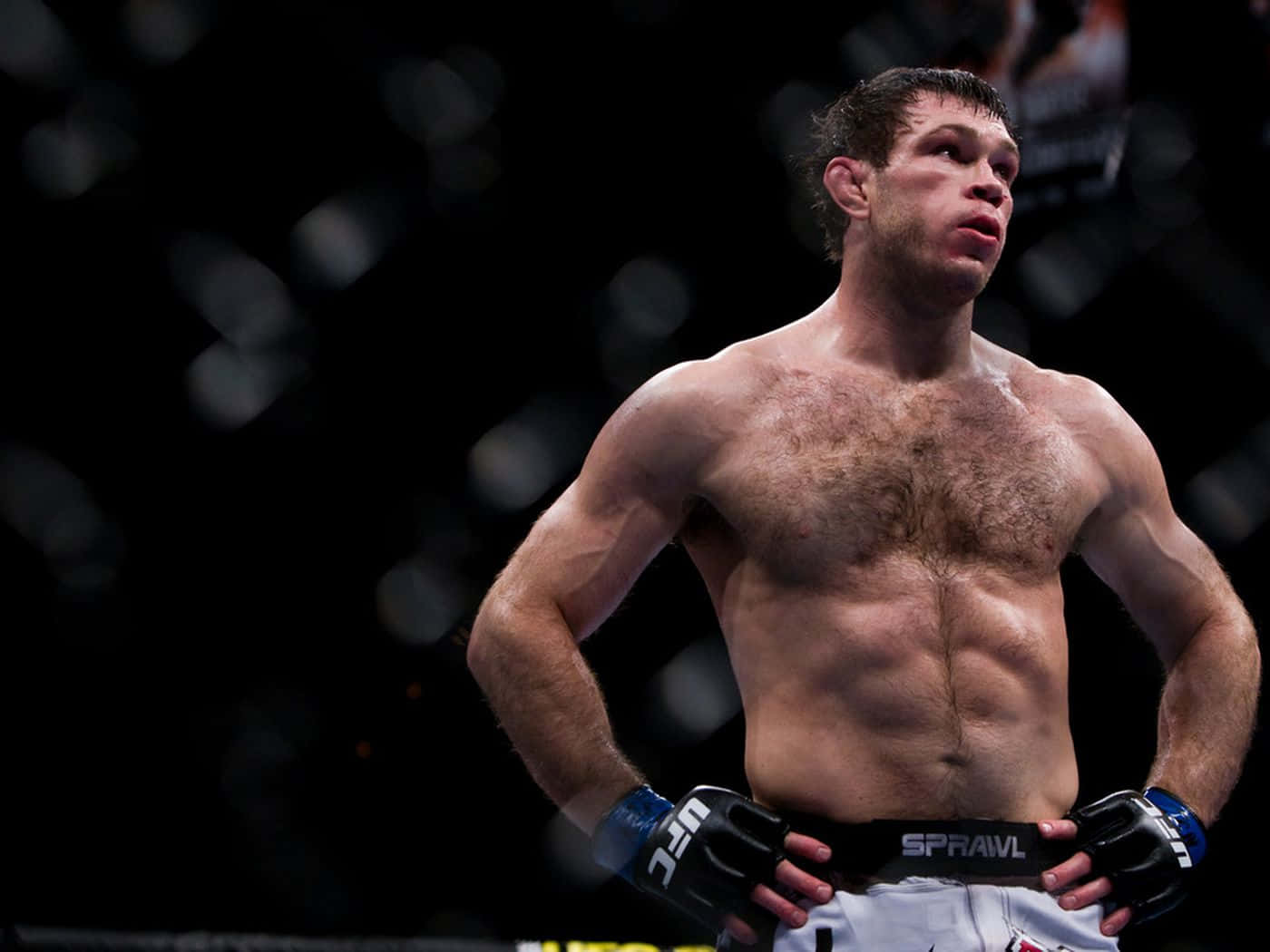 Forrest Griffin Broken Arm Wallpaper