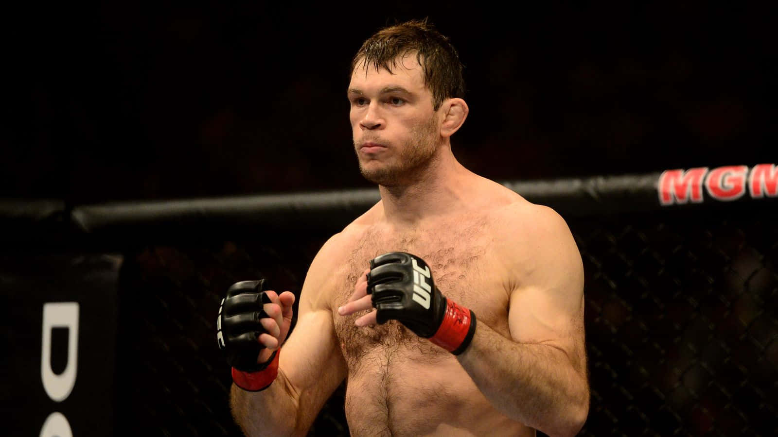 Forrest Griffin Ufc Light Heavyweight Champion Wallpaper