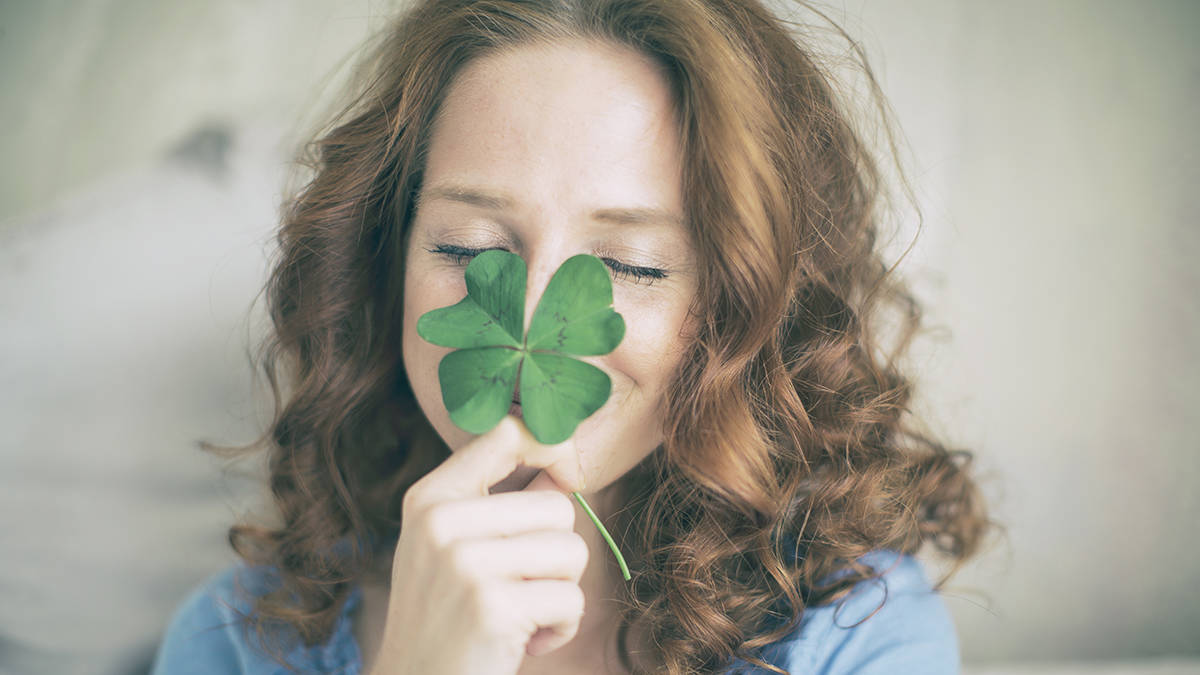 Four Leaf Clover - A Symbol Of Luck And Prosperity Wallpaper