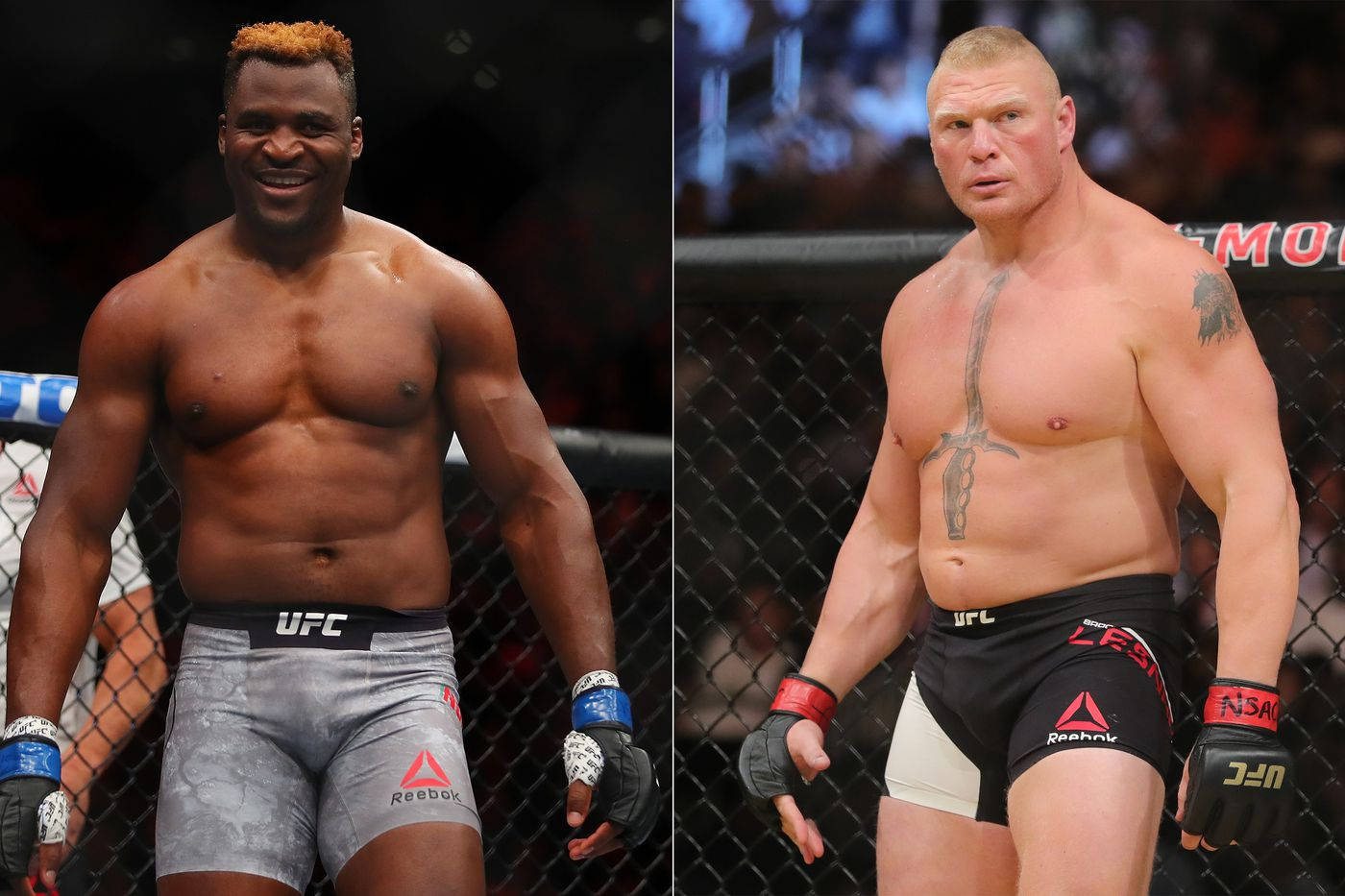 Francis Ngannou Vs Brock Lesnar Wallpaper