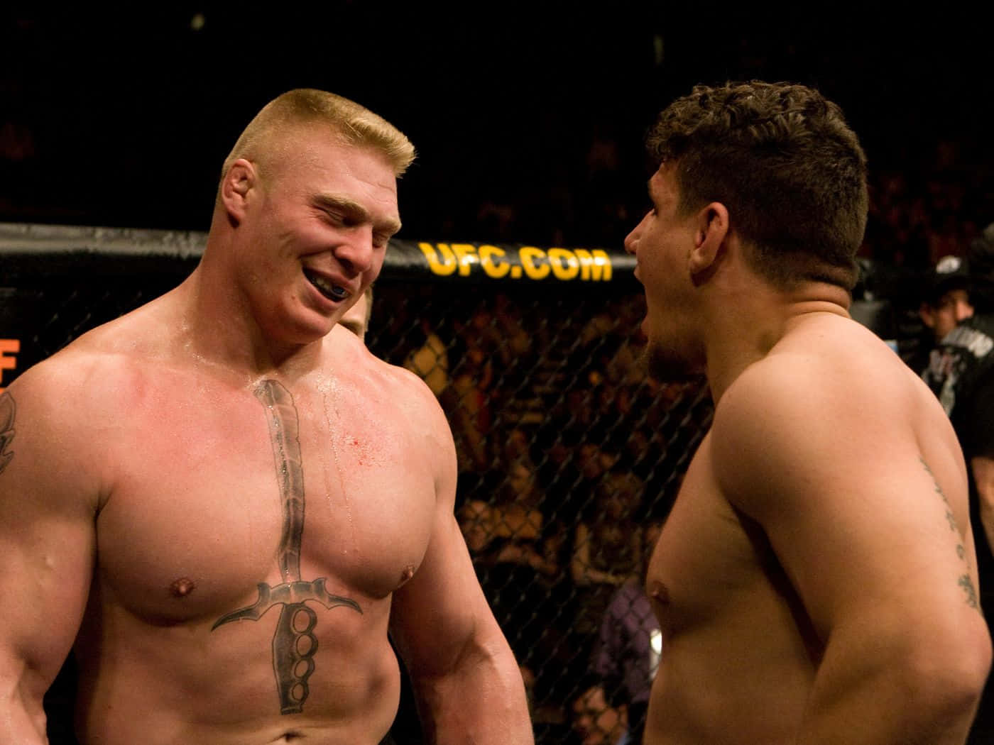 Frank Mir And Brock Lesnar Ufc Wallpaper