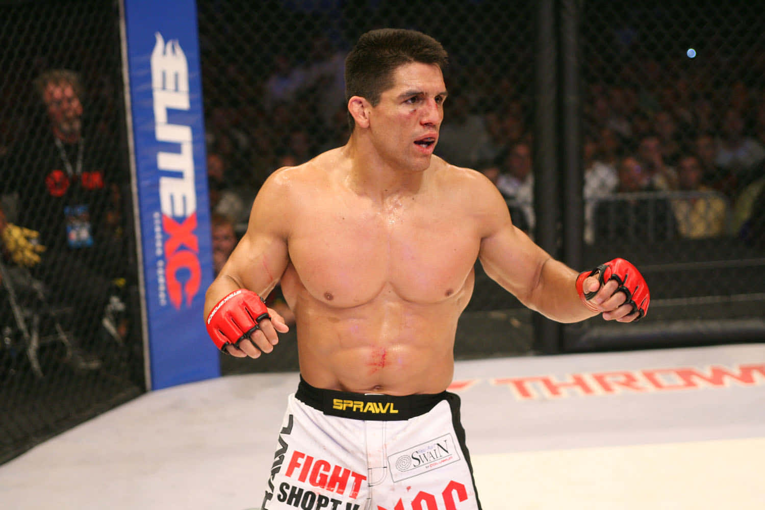 Frank Shamrock In Bellator Mma Promotions Wallpaper