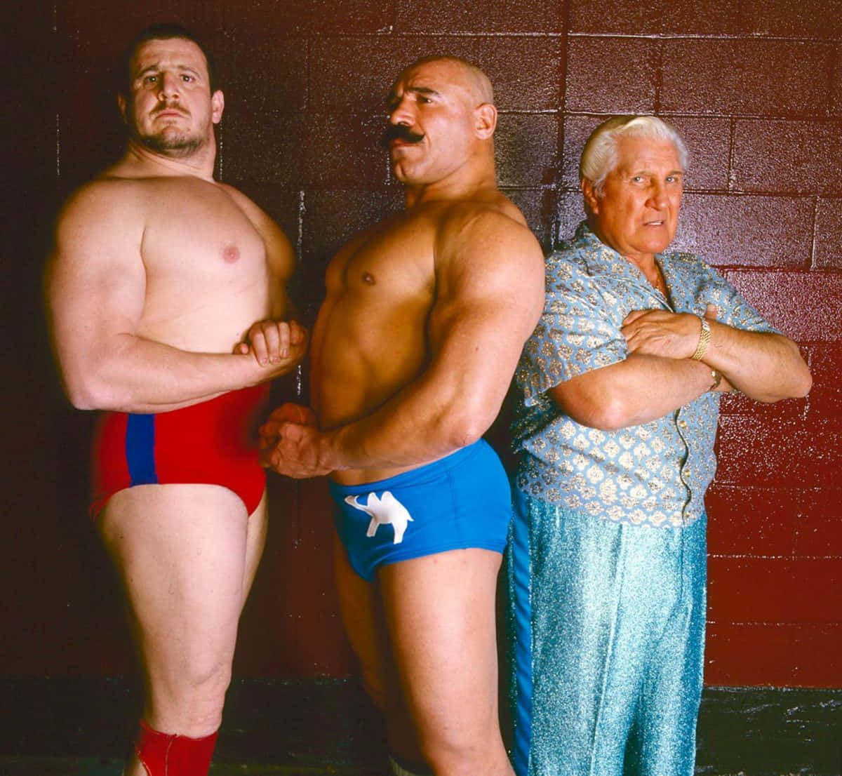 Freddie Blassie The Iron Sheik Nikolai Volkoff Wallpaper