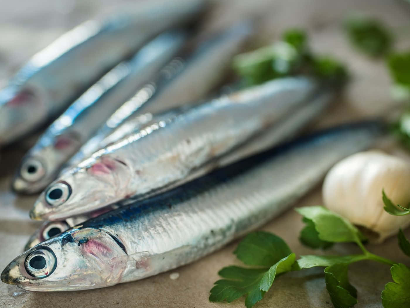 Fresh Anchovies Kitchen Preparation Wallpaper