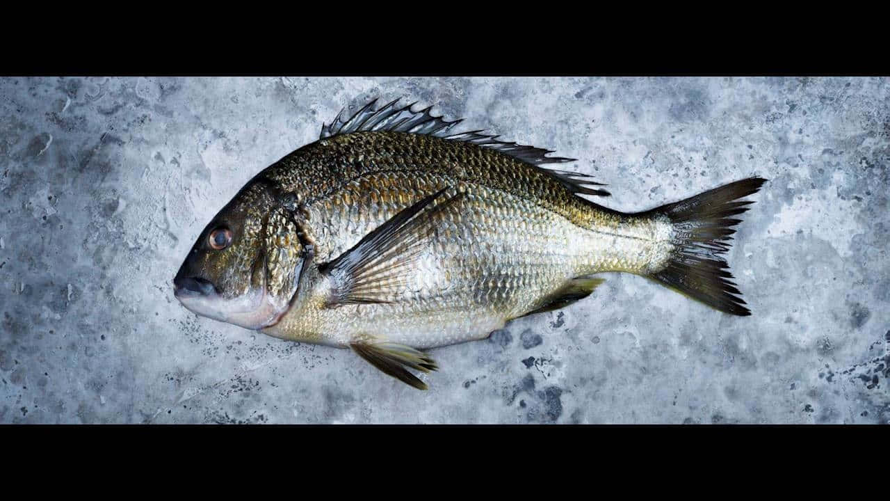 Fresh Bream Fishon Ice Background Wallpaper