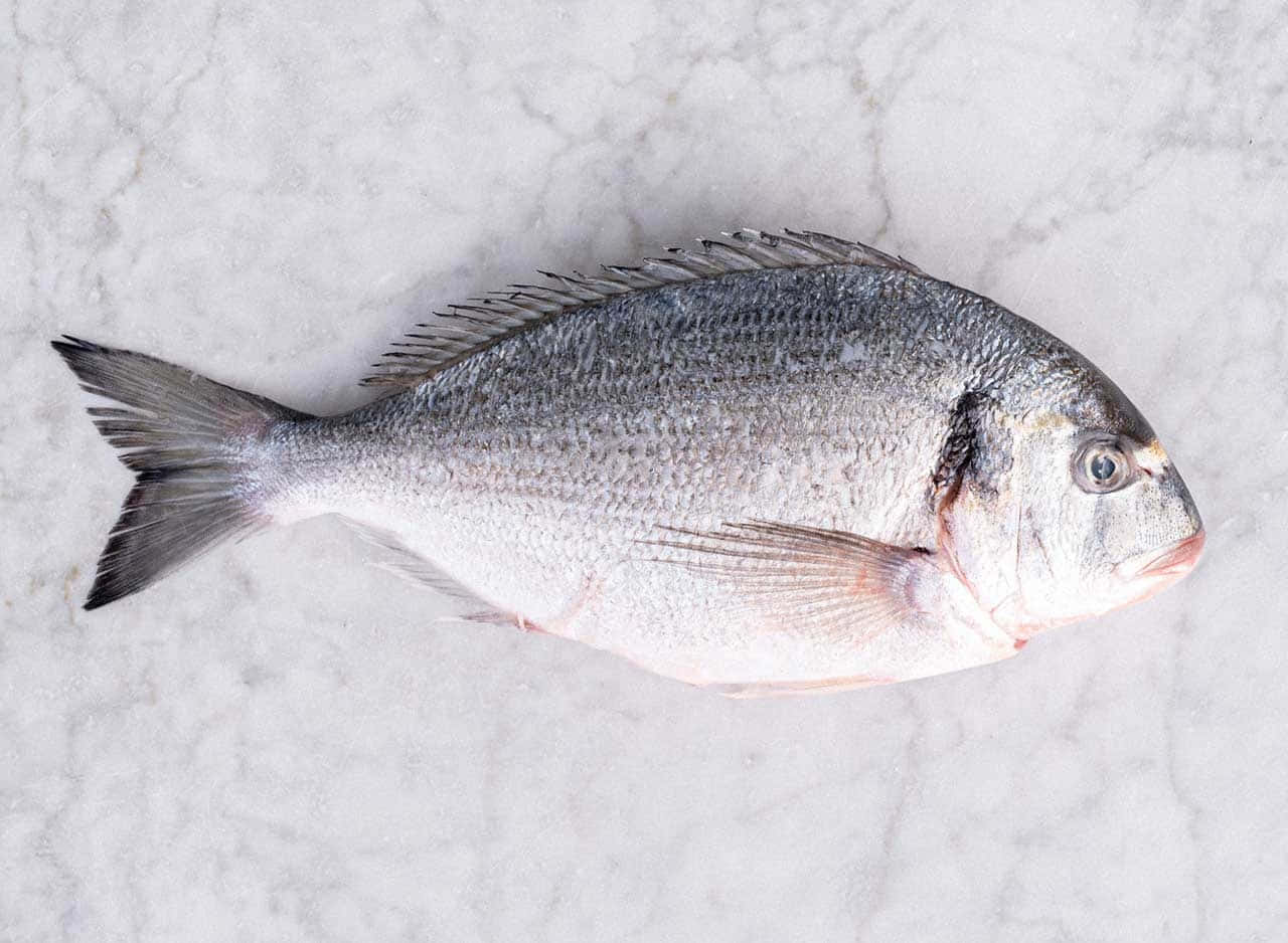 Fresh Bream Fishon Marble Wallpaper