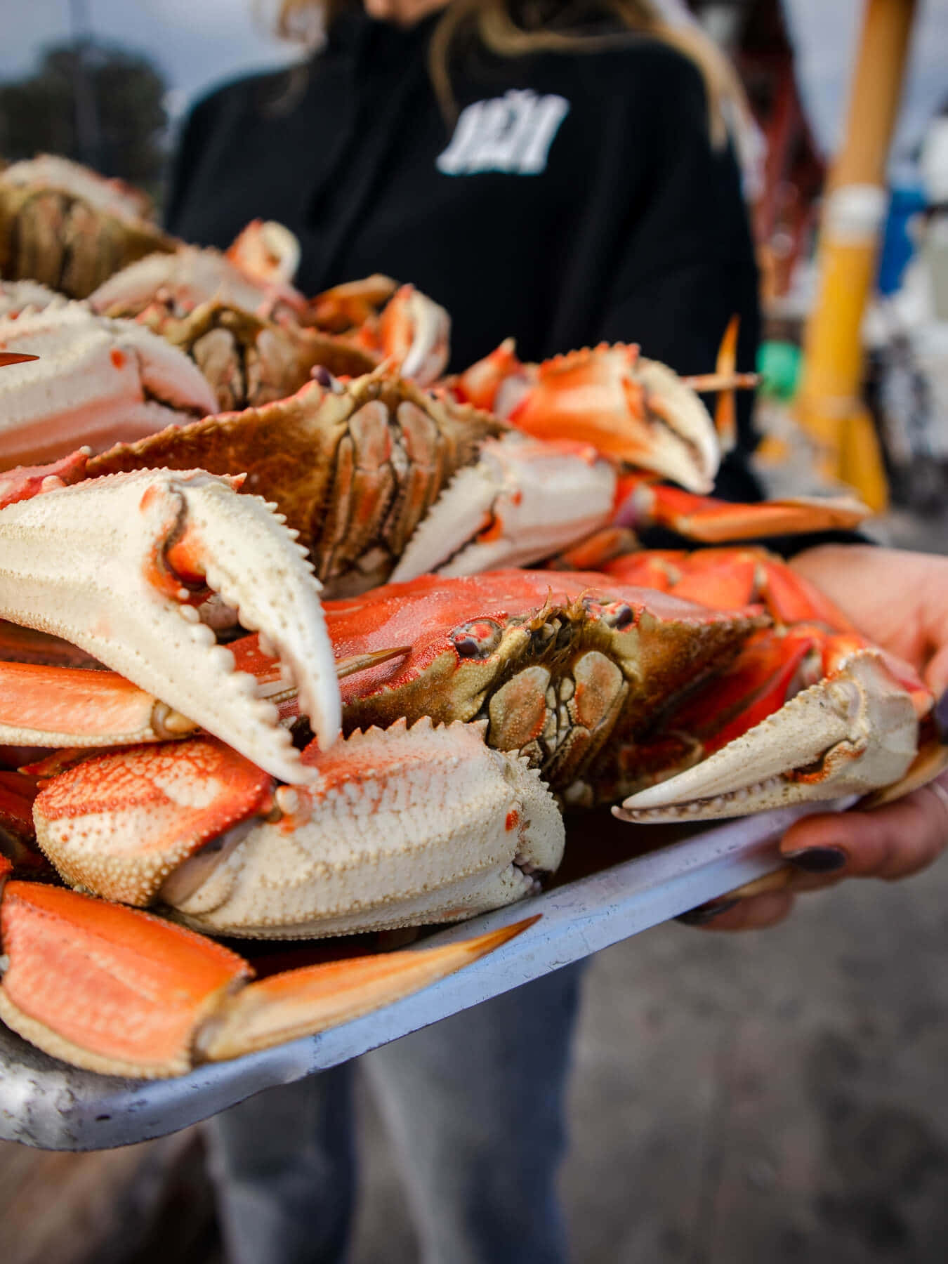 Fresh Dungeness Crab Serving Wallpaper