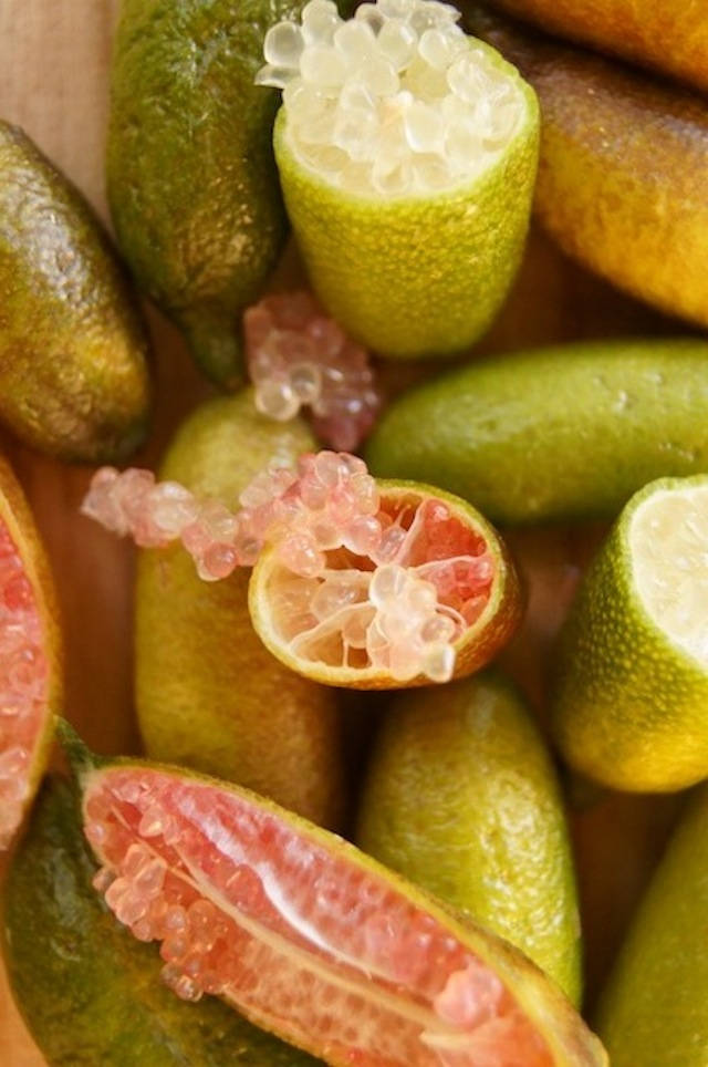 Fresh Finger Limes Cut Open Wallpaper