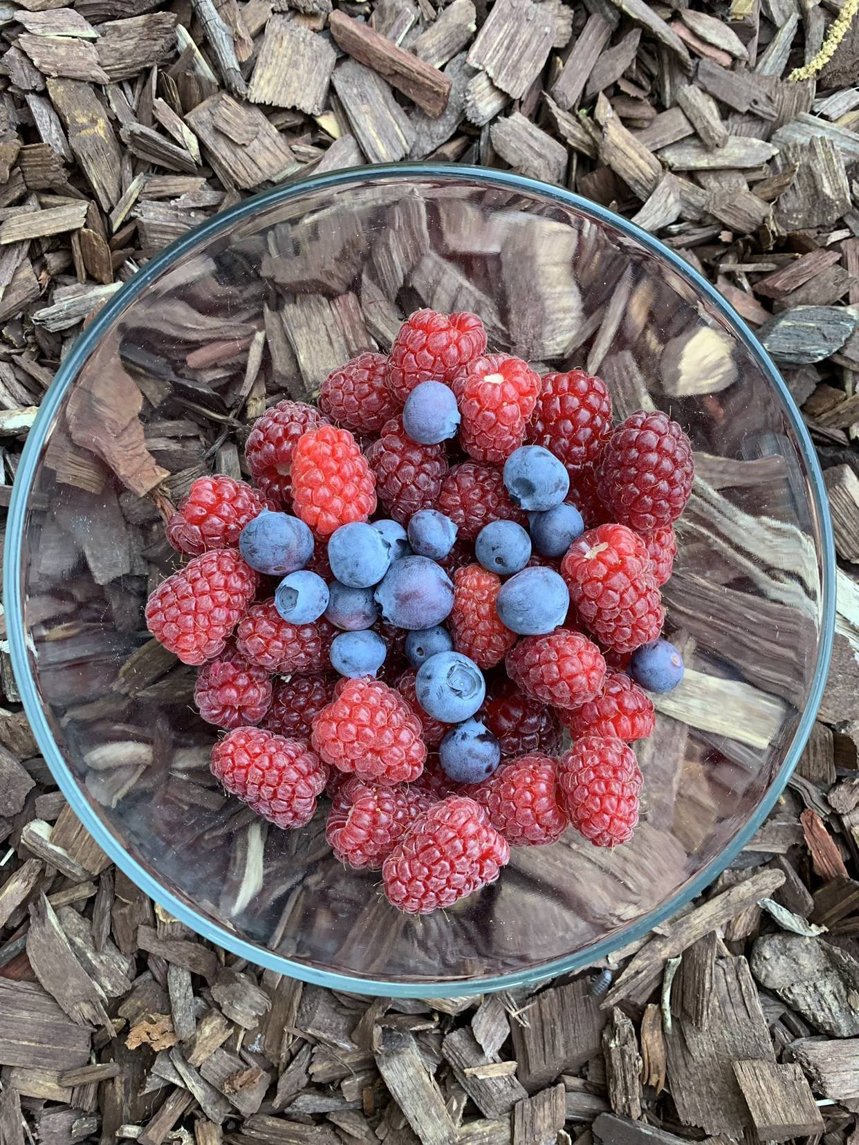 Fresh Loganberries And Blueberries In A Bowl Wallpaper