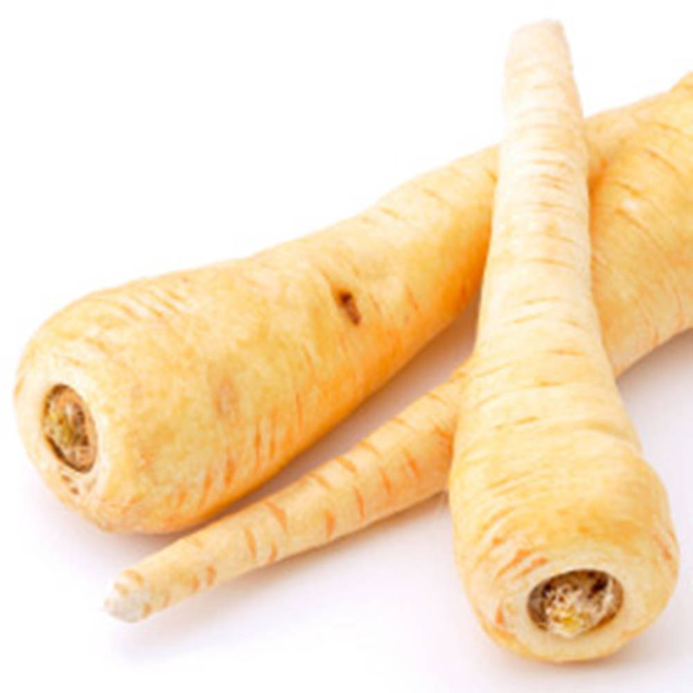 Fresh Organic Parsnip Root Crop Wallpaper