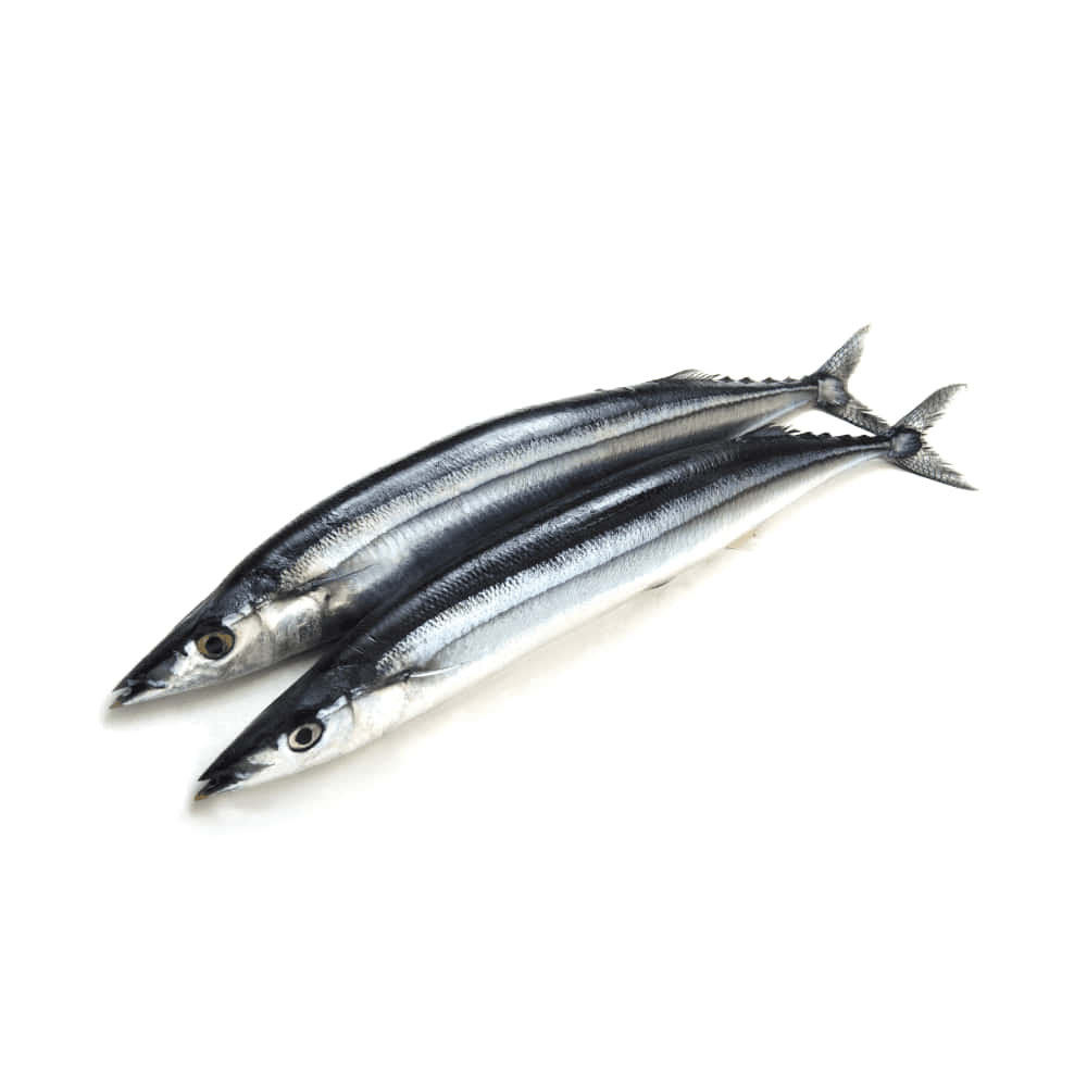 Fresh Pacific Saury Fish White Background Wallpaper