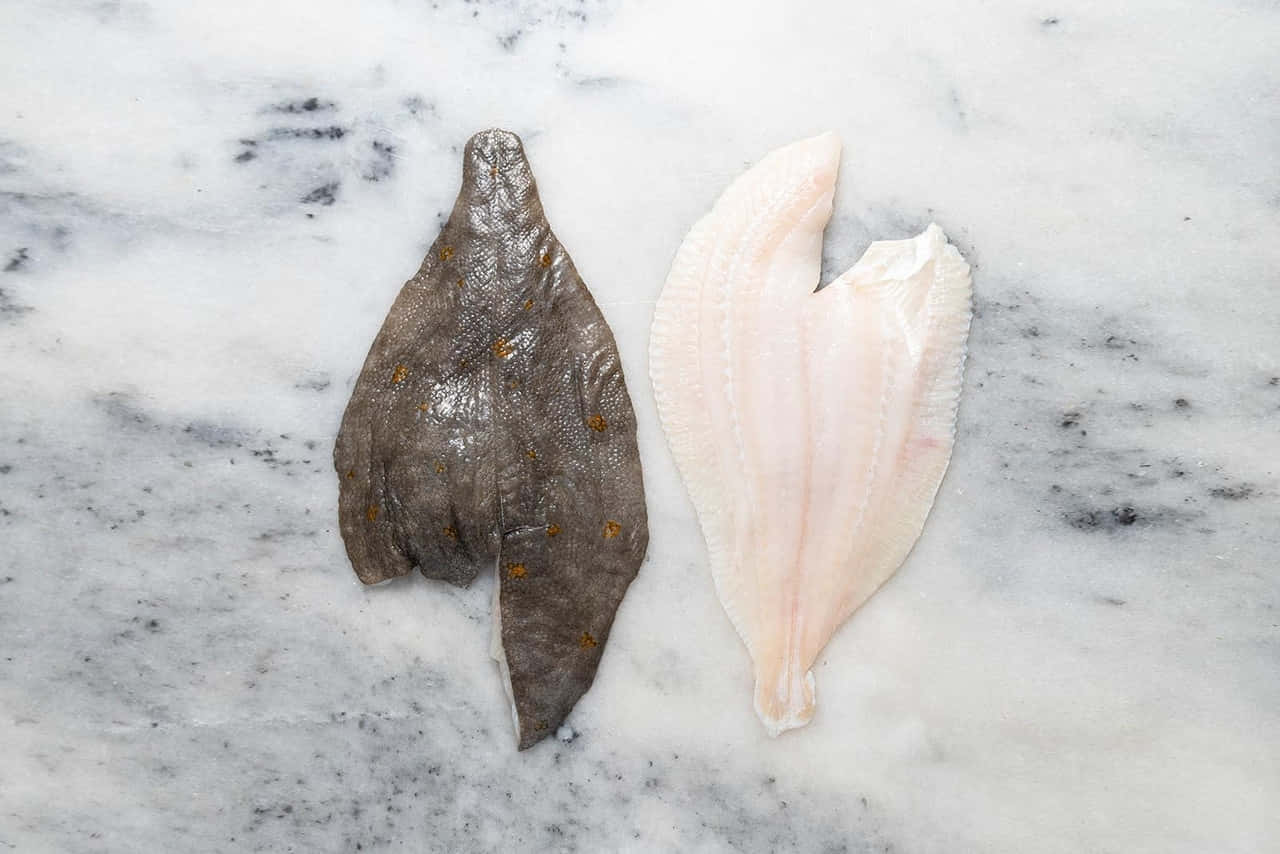 Fresh Plaice Filletson Marble Wallpaper