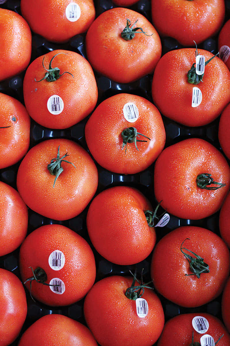 Fresh Produce Display At Vibrant Farmers Market Wallpaper