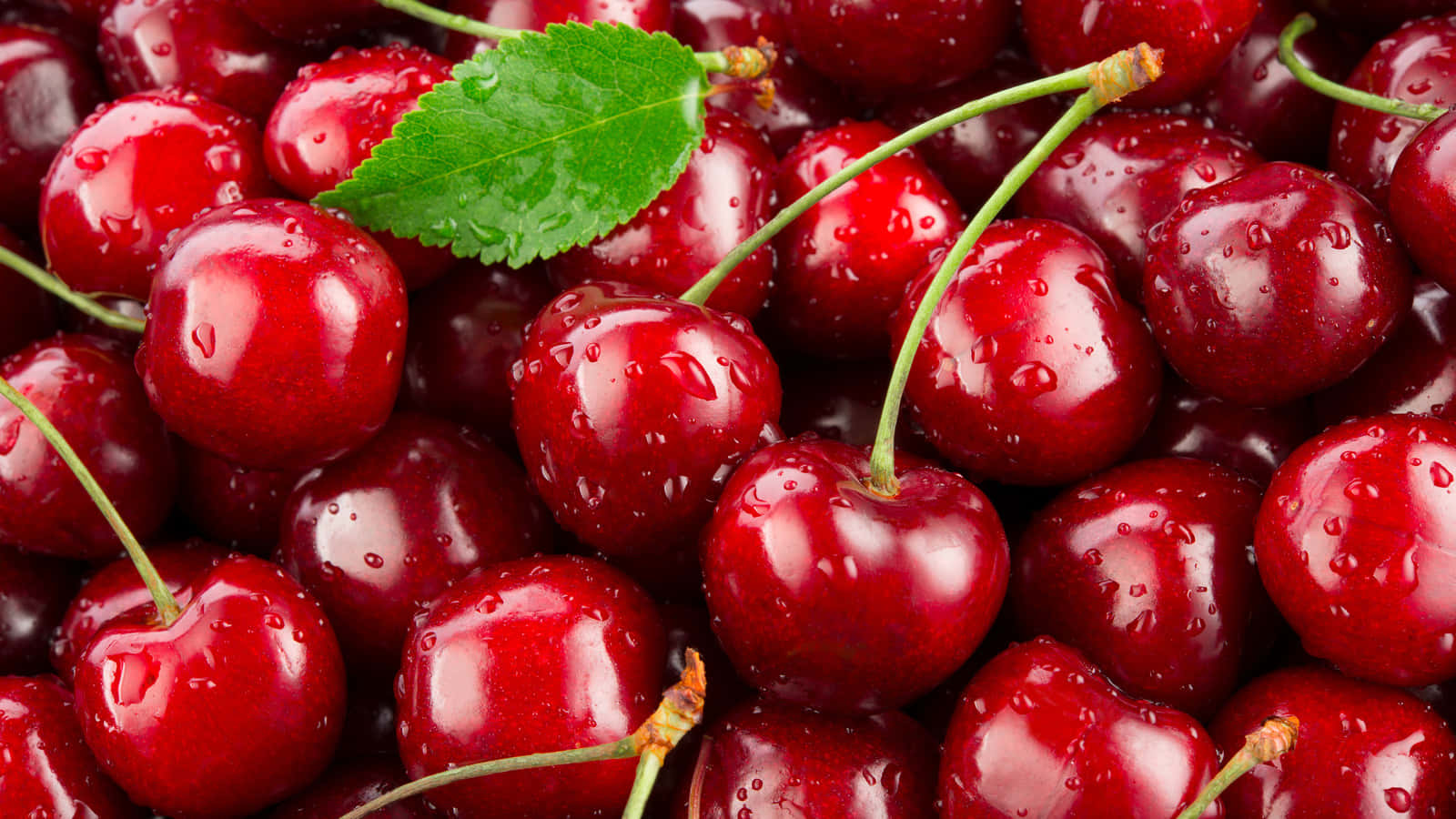 Fresh Red Cherries In A Close-up Shot Wallpaper