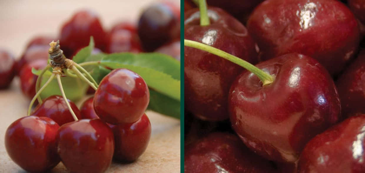 Fresh Red Cherries On Display Wallpaper