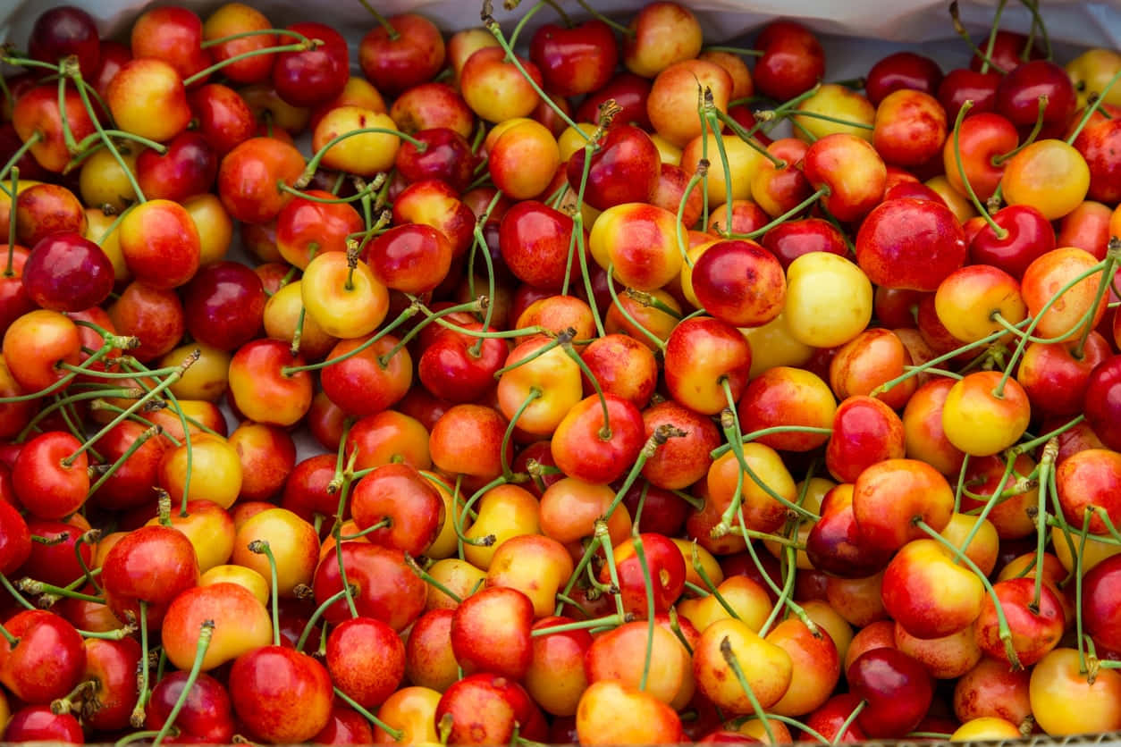 Fresh Red Cherries On Display Wallpaper