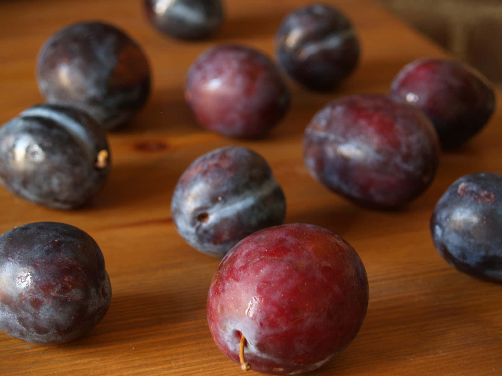 Freshly Harvested Italian Prune Plums Wallpaper