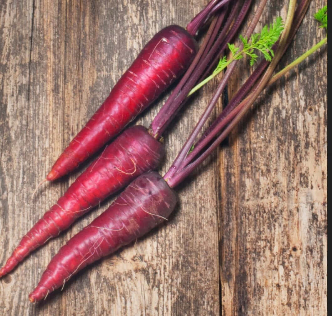 Freshly Picked Purple Carrots. Wallpaper