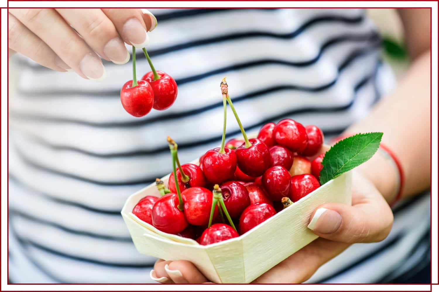 Freshly Picked Red Cherries On A Wooden Table Wallpaper