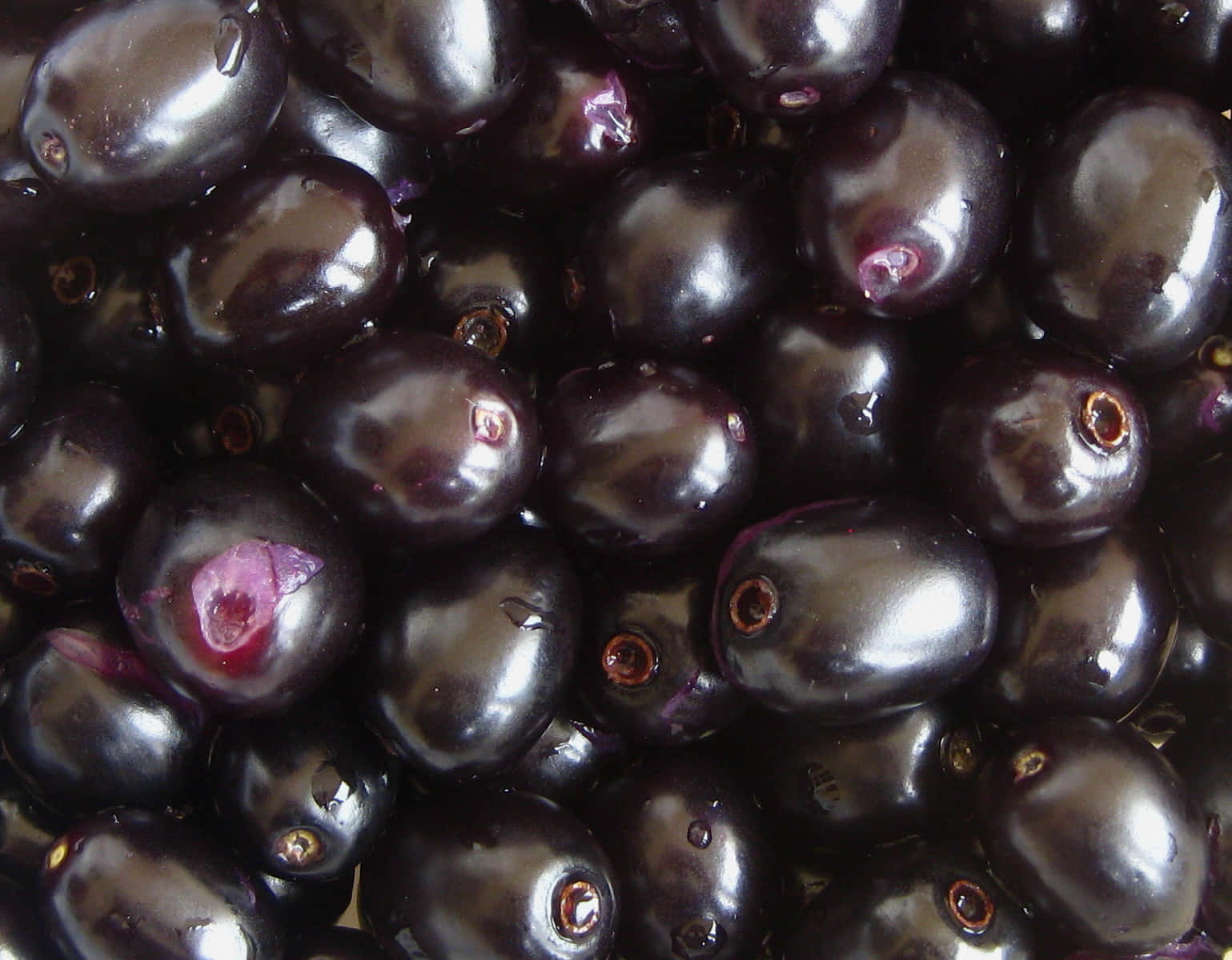 Freshly Washed Glossy Java Plums Wallpaper