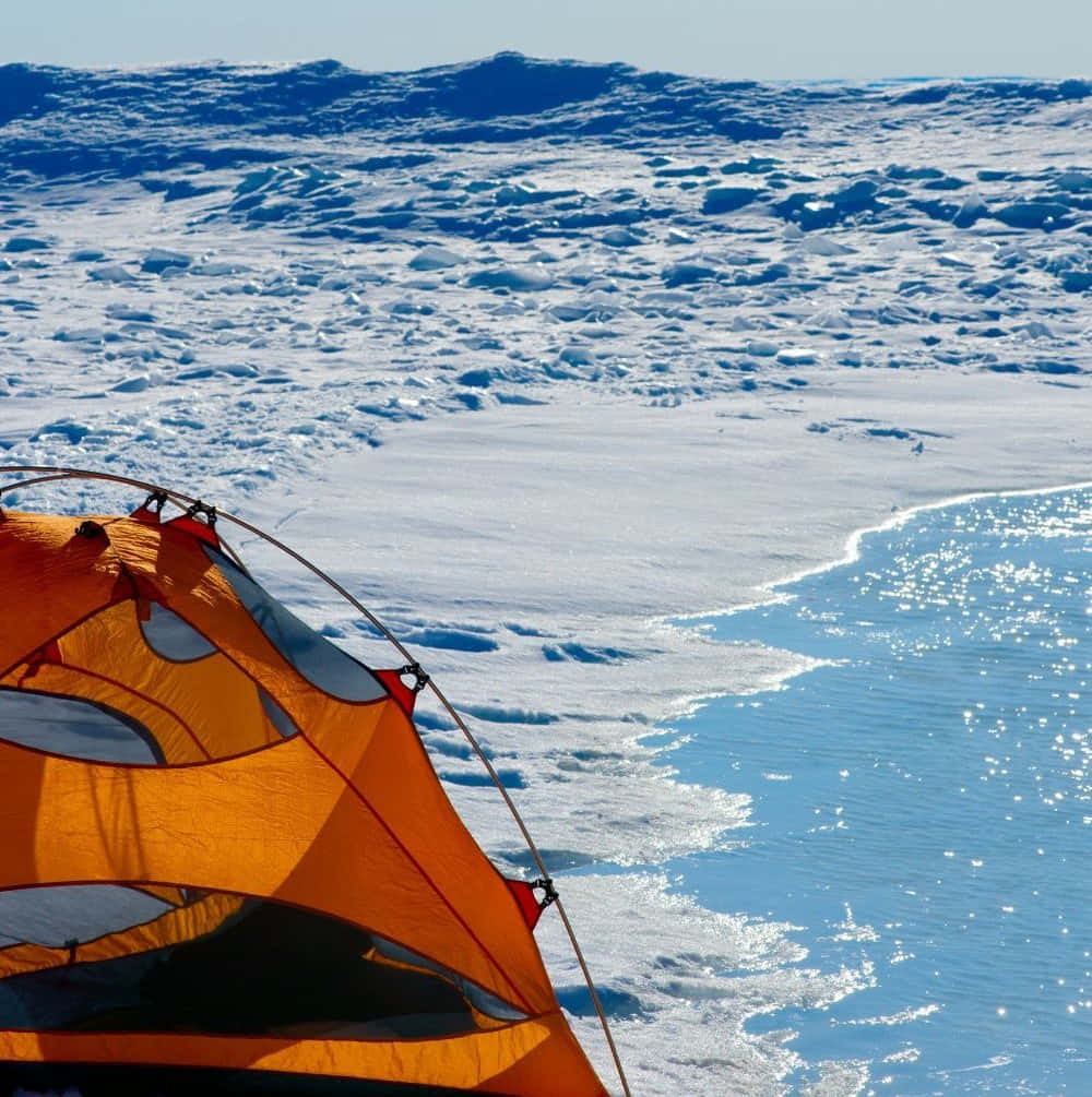 Friends Enjoying Winter Camping Under The Starry Night Sky Wallpaper