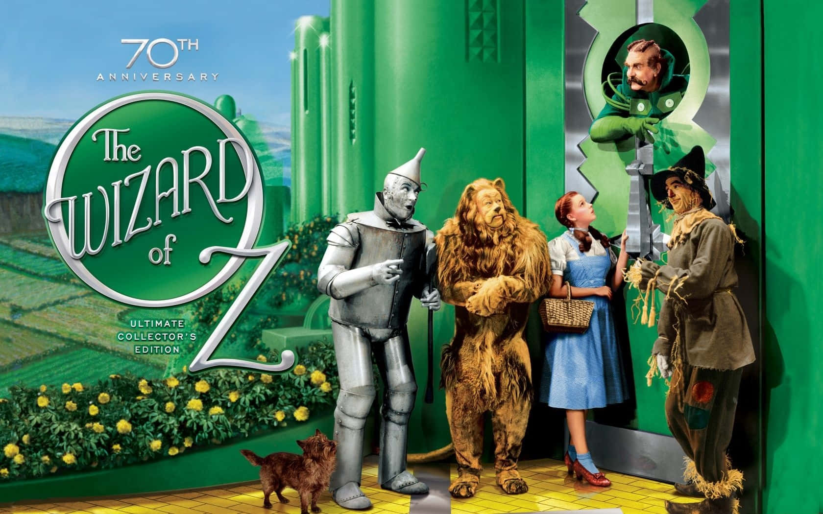 Friends, Follow The Yellow Brick Road Wallpaper