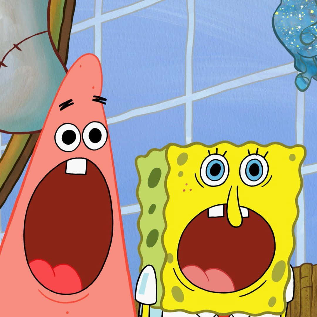 Funny Pfp For Tiktok Of Spongebob And Patrick Wallpaper