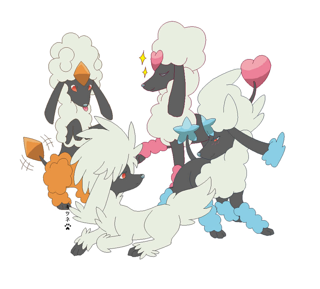 Furfrou Pokemon Variations Wallpaper