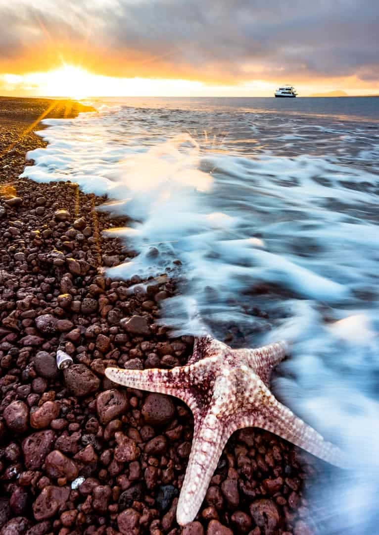 Galapagos Islands Stunning Beach Sunset Wallpaper