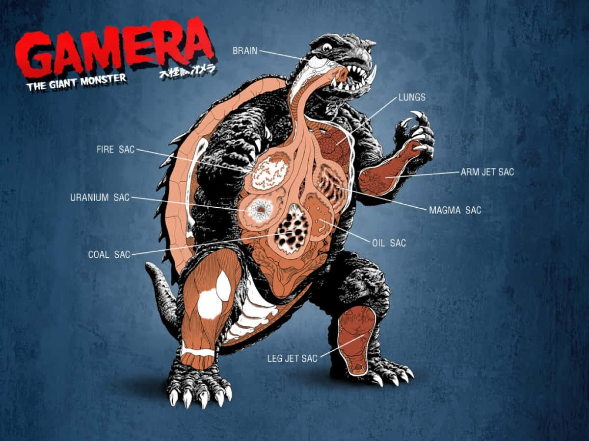 Gamera, The Guardian Of The Universe, Soars Through The Skies Wallpaper