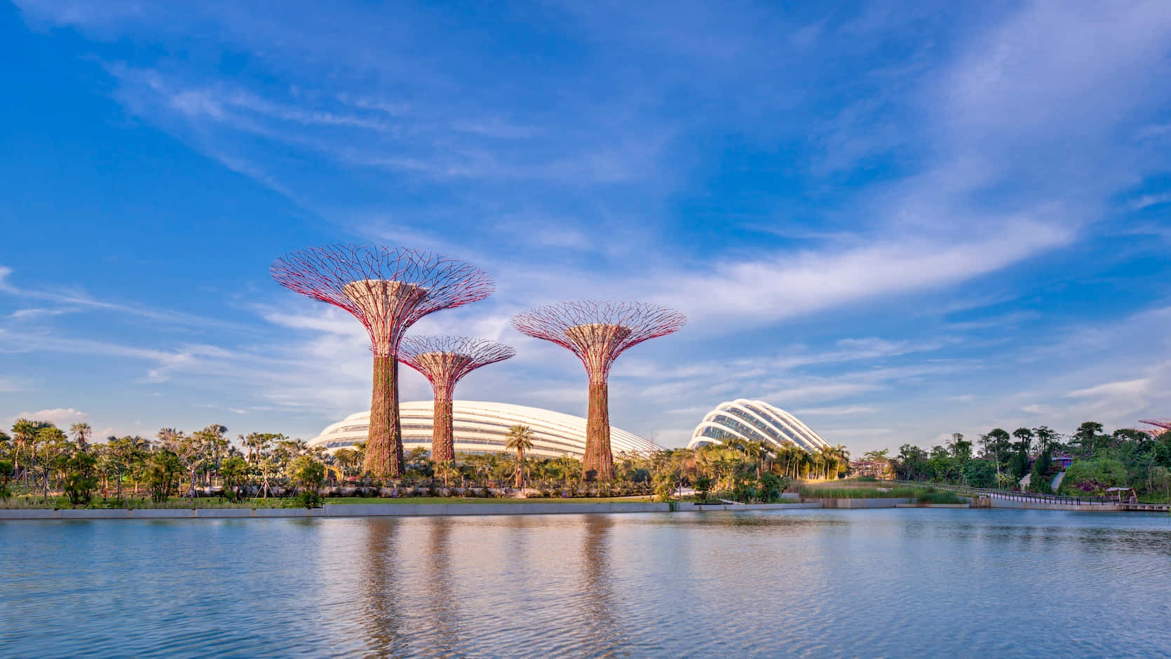 Gardens By The Bay Singapore Skyline Wallpaper