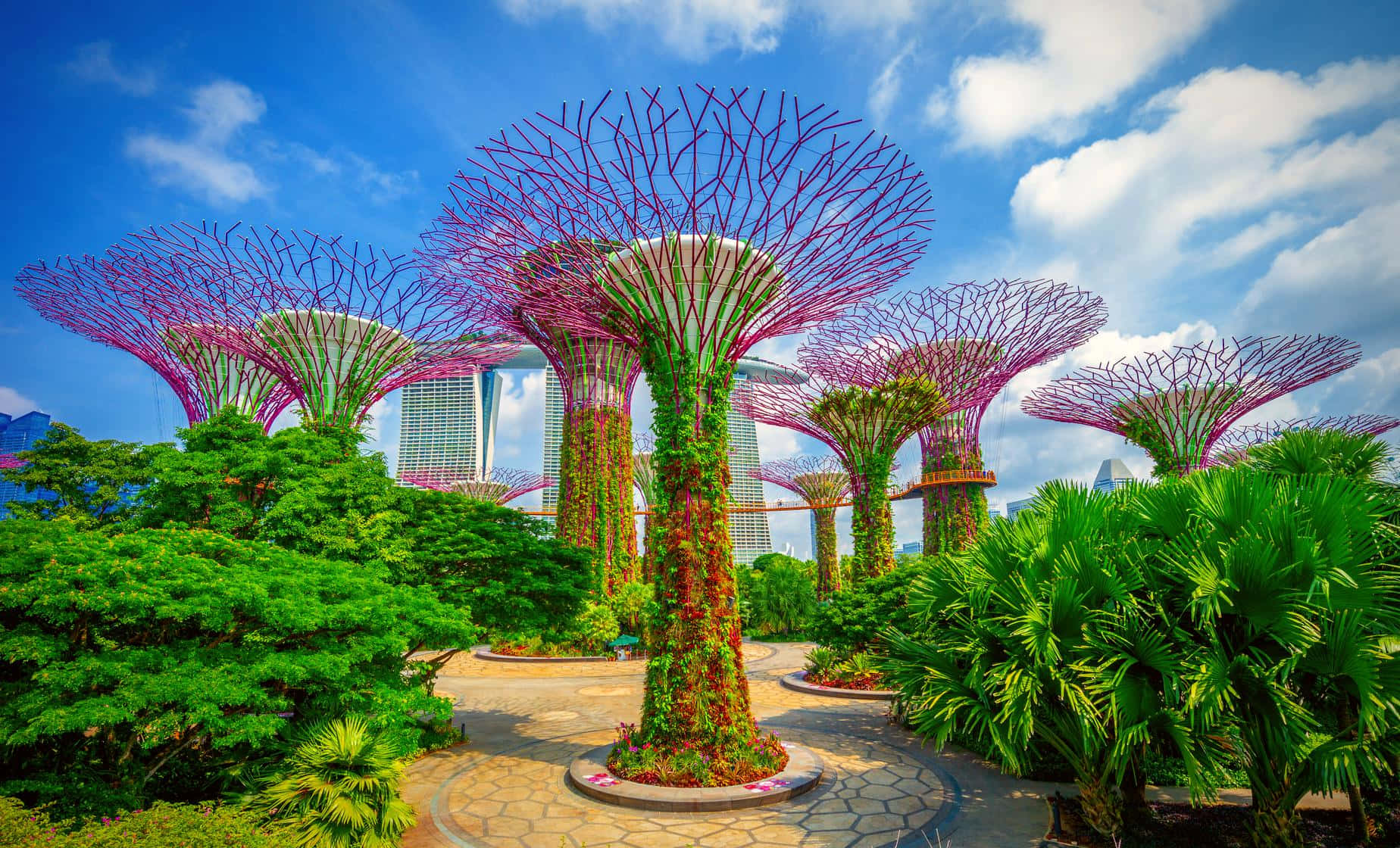 Gardens By The Bay Supertree Grove Singapore Wallpaper