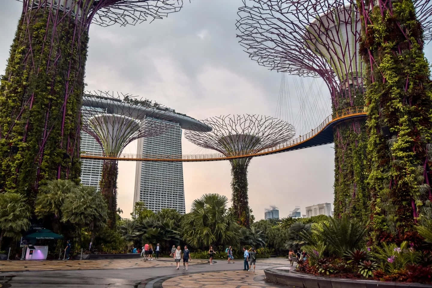 Gardens_ By_ The_ Bay_ Supertree_ Grove_ Singapore.jpg Wallpaper