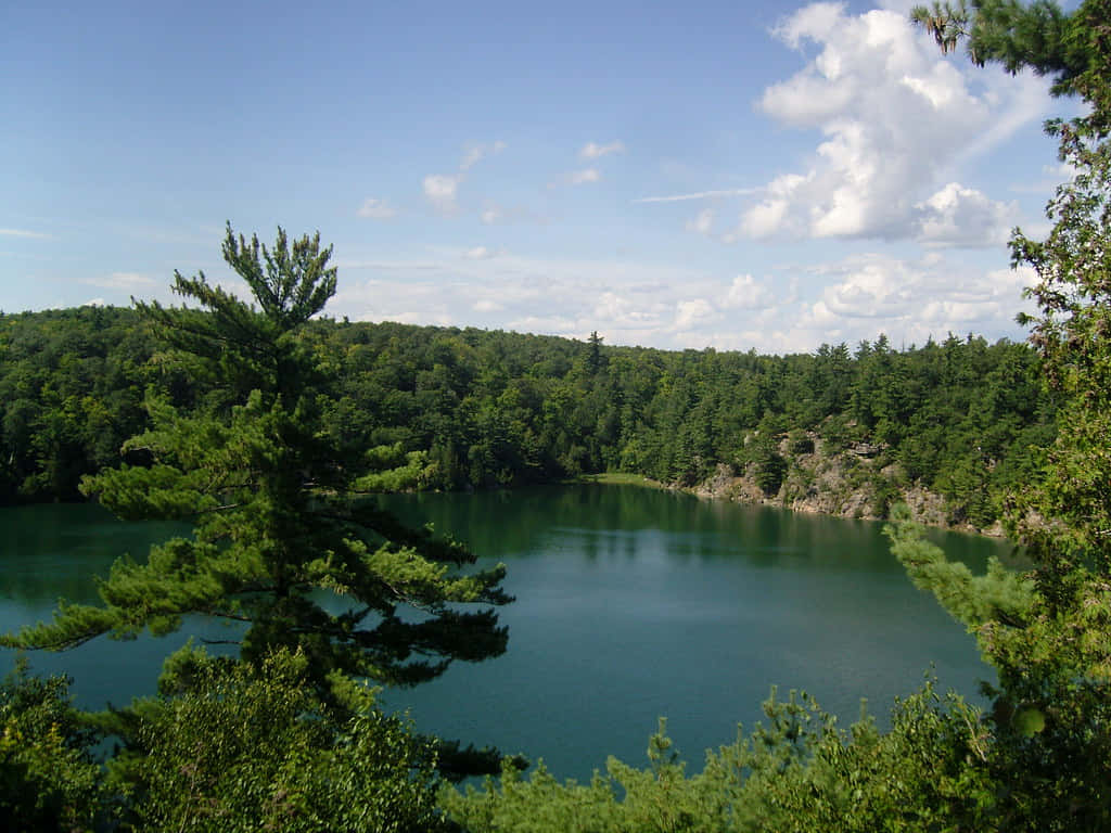 Gatineau Park Lake View Wallpaper