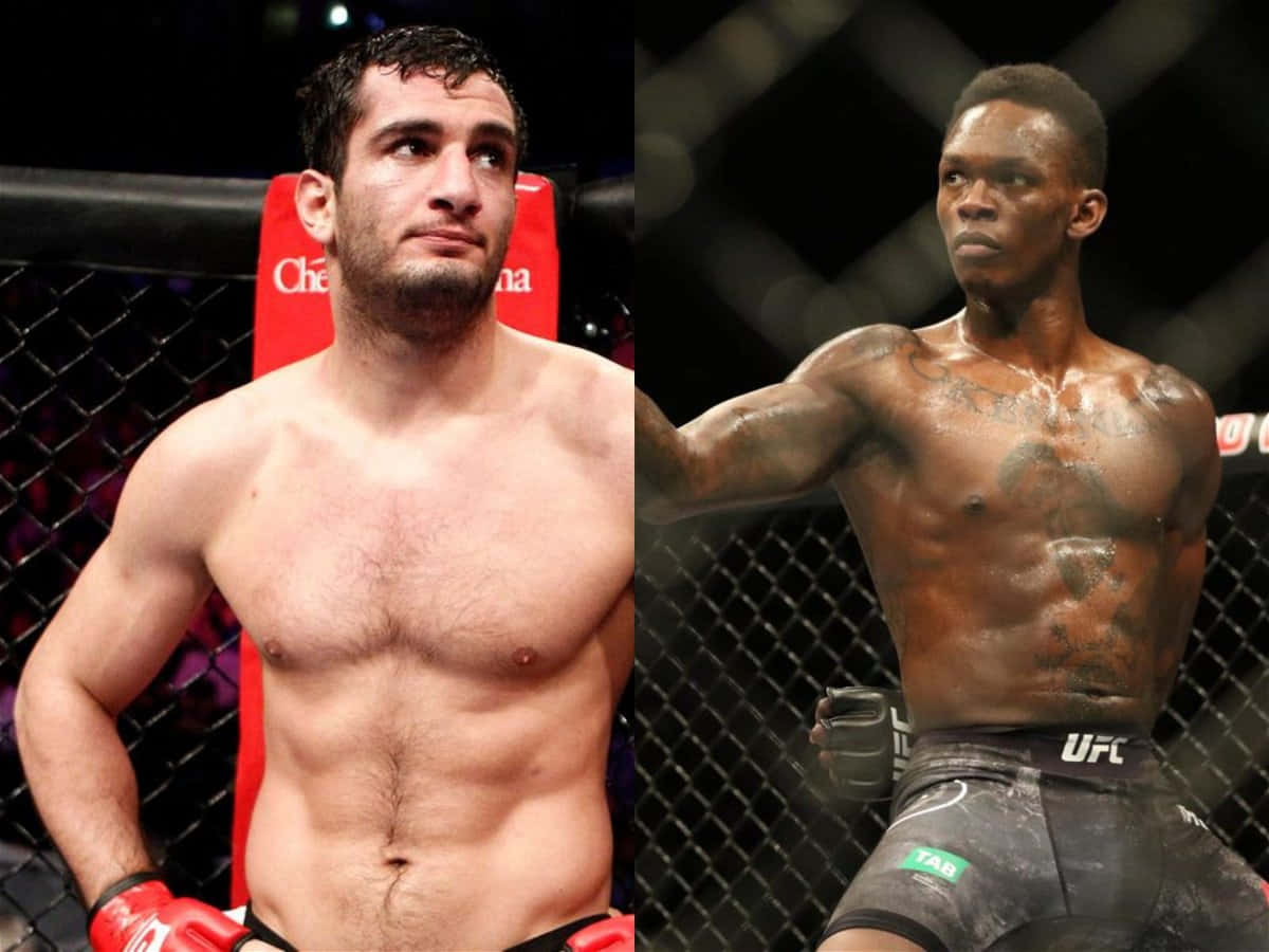 Gegard Mousasi And Israel Adesanya Comparison Wallpaper