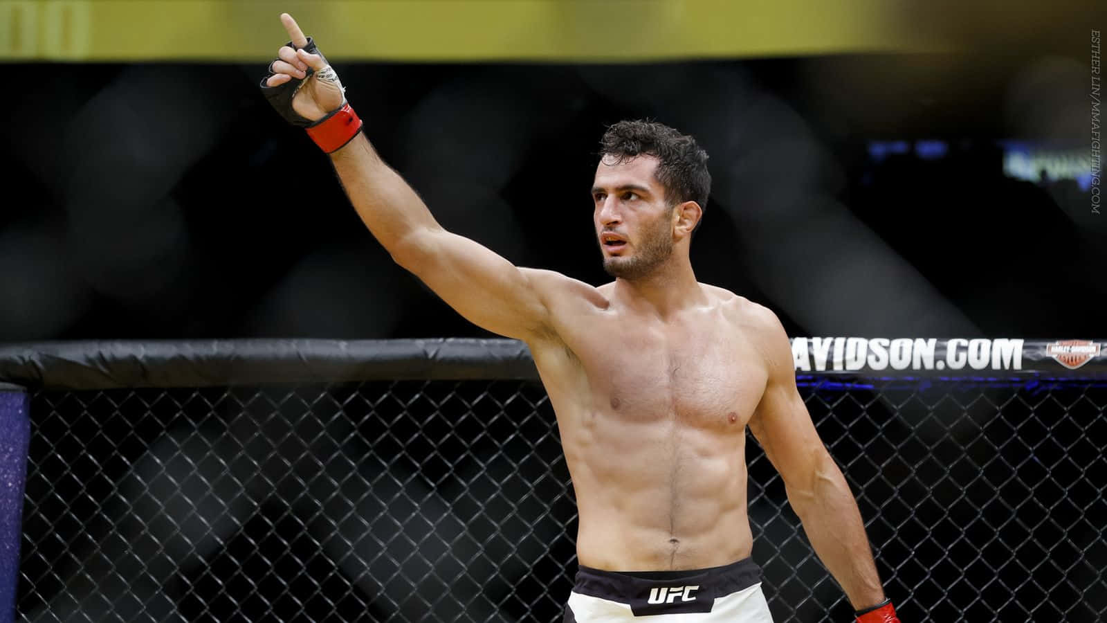 Gegard Mousasi Dutch Mixed Martial Artist Wallpaper