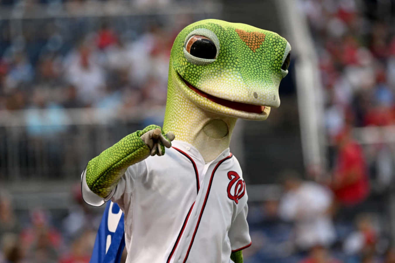 Geico Mascot Baseball Event Wallpaper