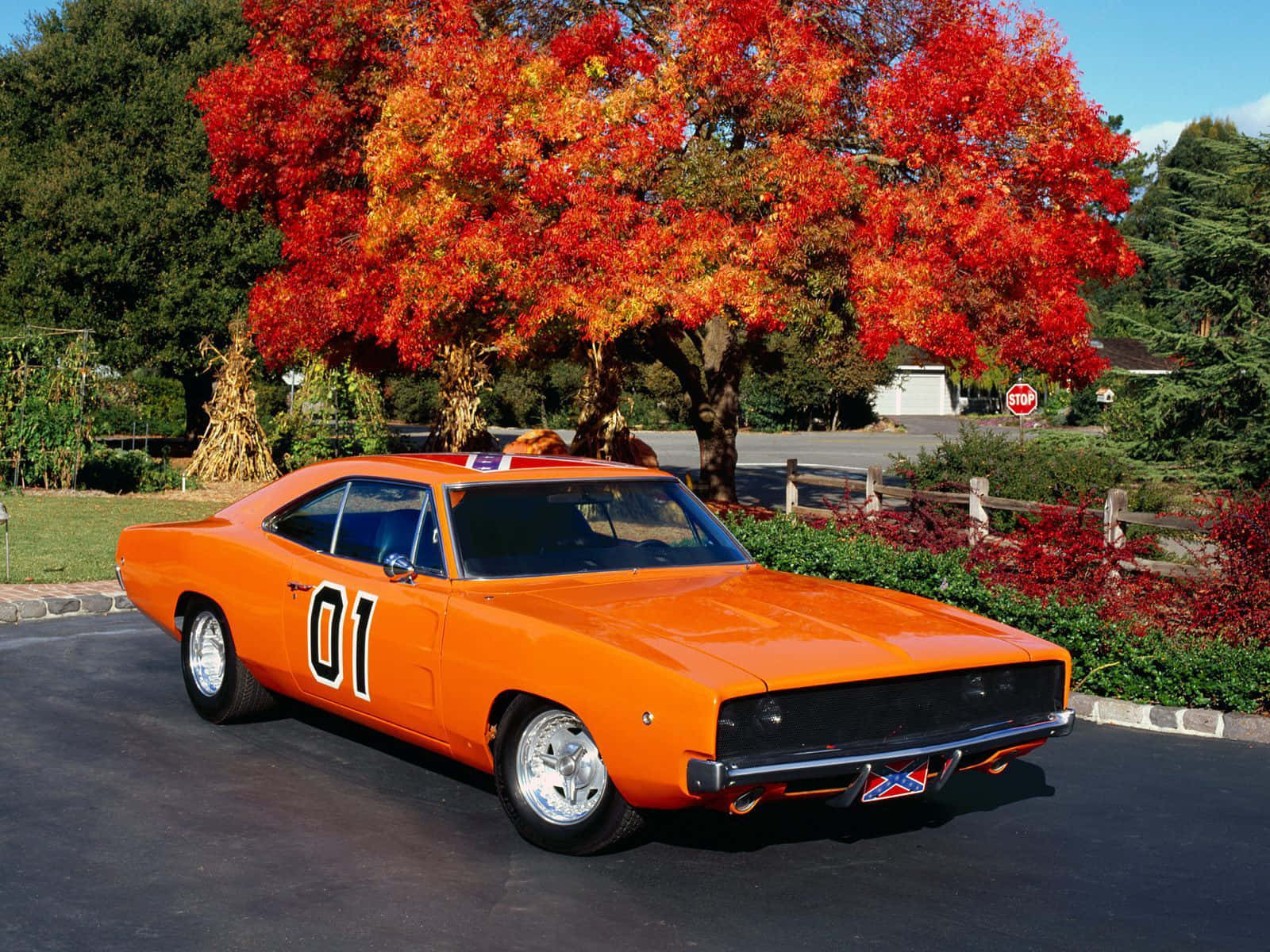 General Lee Car Orange Tree Parking Wallpaper