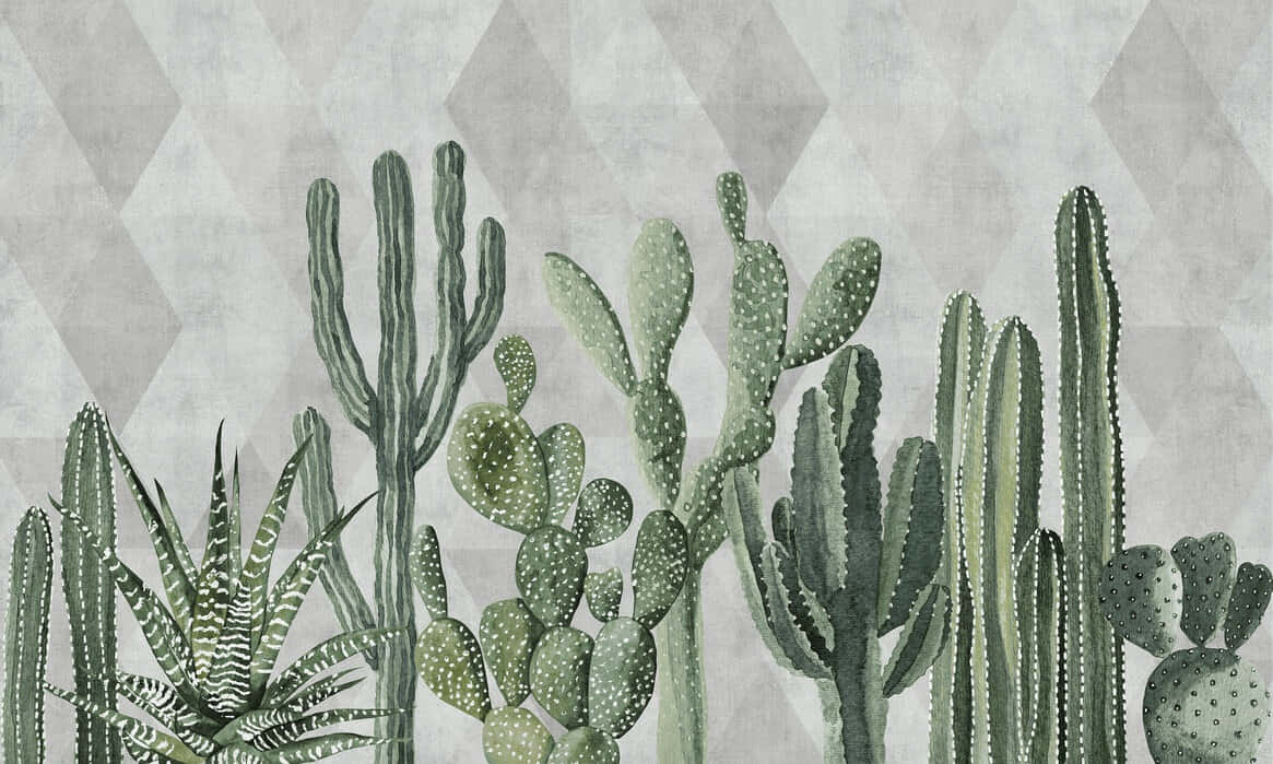 Geometric Background Cactus Collection Wallpaper