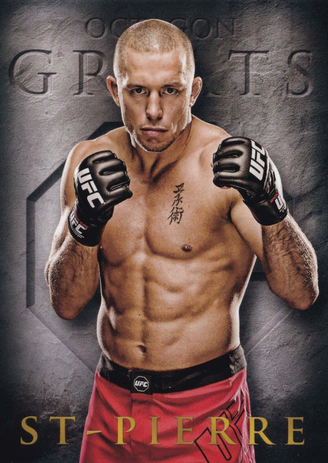 Georges St-pierre - A Mixed Martial Arts Master Wallpaper