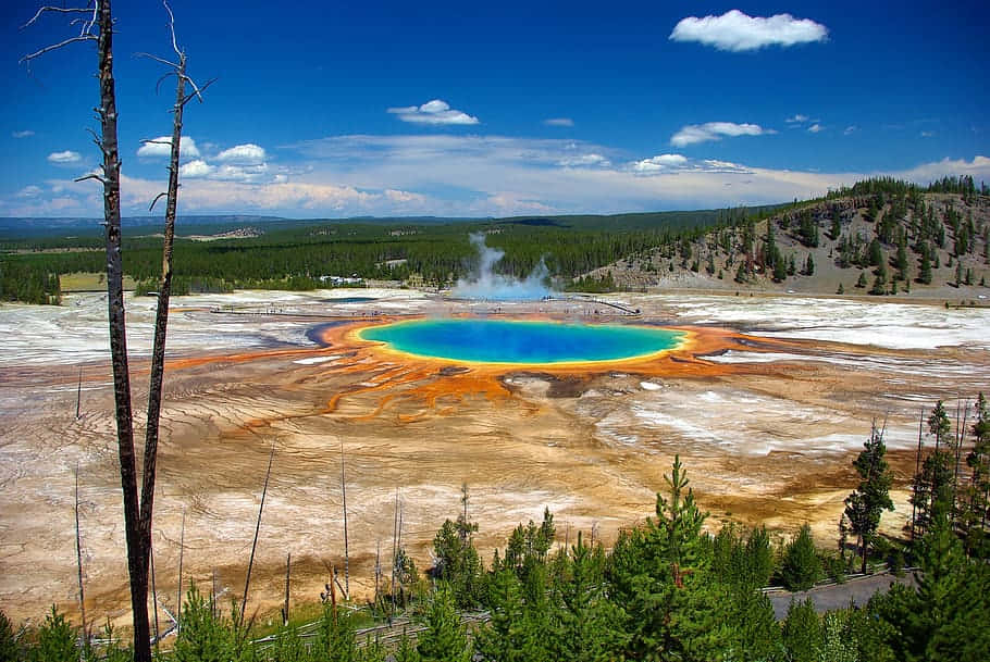 Geothermal Hot Spring Yellowstone Wallpaper