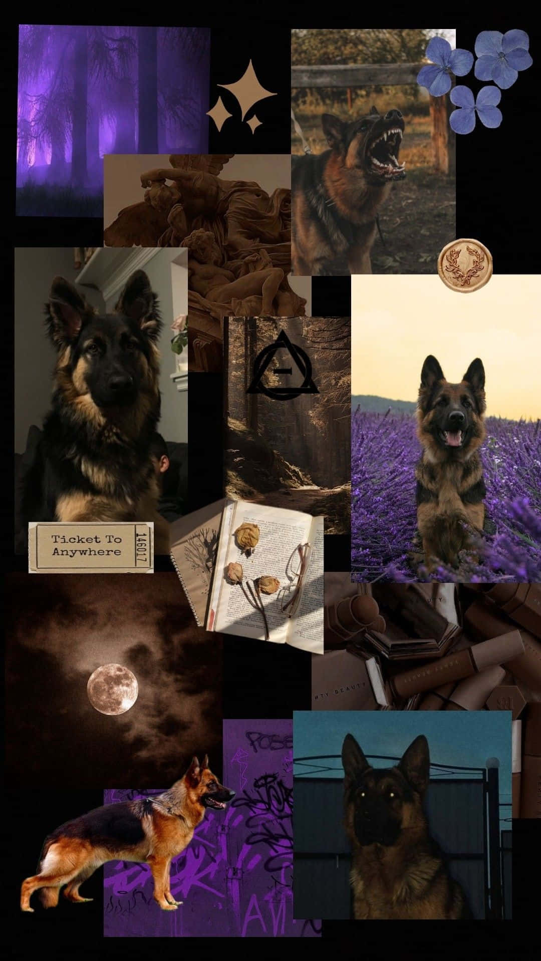 German_ Shepherd_ Collage Wallpaper