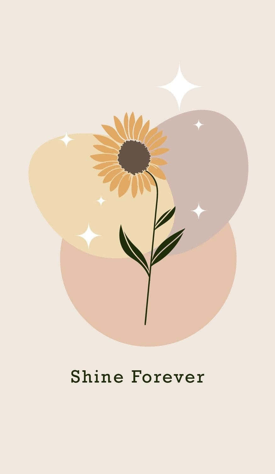 Get Lost In A Garden Of Beauty With A Sunflower Aesthetic Iphone Wallpaper