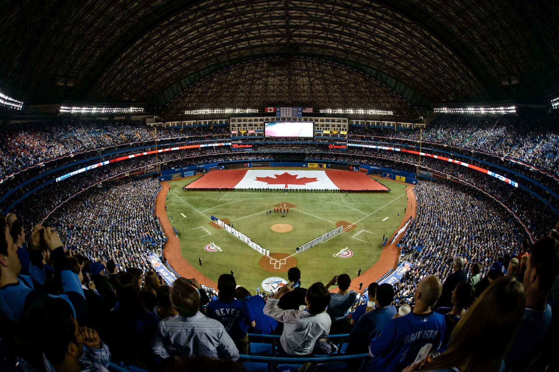 Get Ready For Baseball Season With The Toronto Blue Jays Wallpaper